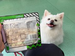 -东方动物医院·宠保定点·骨科·转诊中心(春城路·昆明站分院)