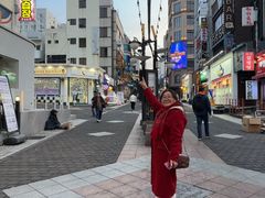 -宝健路步行街(Pedestrian Shopping Street)