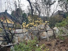 -云龙山