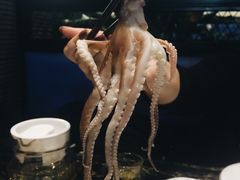 -渔傅·蓝海岸霞浦海鲜(正祥店)