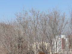-青藏高原野生动物园