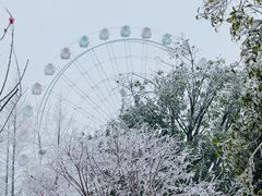 -洋湖国家湿地公园