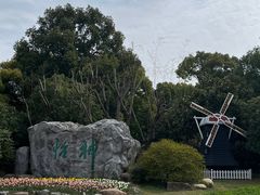 -上海鲜花港