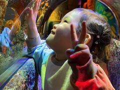 -沈阳海洋探索中心