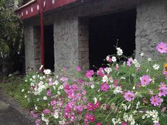 -硗碛藏寨·神木垒景区