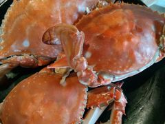 -常州逸高酒店-中餐厅