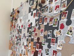 -翊宠yipet猫狗购宠庄园犬舍•猫舍