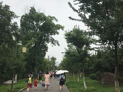 -杏花村文化旅游区