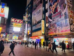 -秋叶原电器街