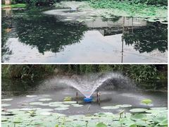 -元鼎宝驴香·全驴宴(江宁店)