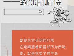 -瑞漫时光婚礼创意设计Remember The Time