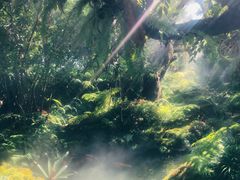 -Chom Cafe and Restaurant