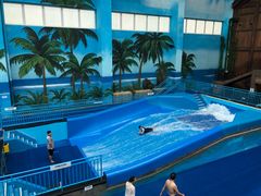 -青岛东方影都融创水世界