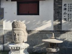 -烟台自然博物馆
