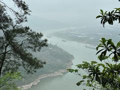 -铁山坪森林公园