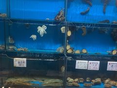 -牟传仁饭庄(星海店)