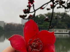 -东山湖公园