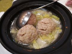 -丁老爷子苏香圆