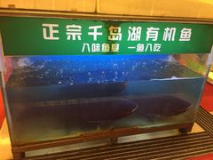 -昌正春天酒店-海鲜餐厅