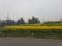 -两河城市森林公园