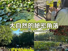 -云岗森林公园