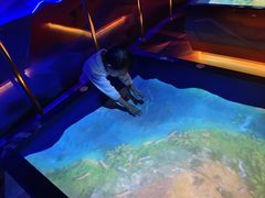 -珠海横琴国家地理探险家中心(创新方)