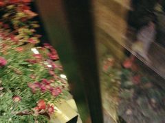 -木王宴语·野生鲜菌火锅(玉河店)