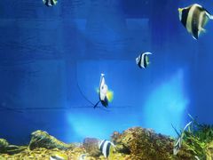 -福州罗源湾海洋世界旅游区