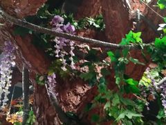 -垅里人土菜馆(胜利小区店)