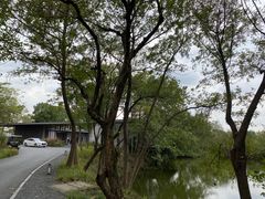 -木守西溪溪隐餐厅
