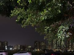 -罗记家常菜(鸿景花园店)