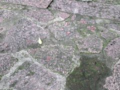 -杭百味·大众精选杭帮菜(西湖音乐喷泉店)