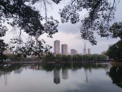 -宝岛公园
