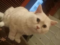 -万小咖.猫咖(中山路天虹店)