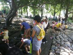 -成都市活水公园