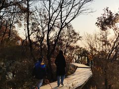 -白草畔自然风景区