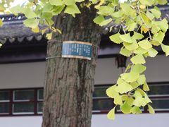 -苏州文庙(姑苏区)