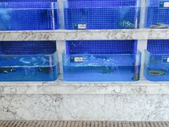 -香山湖渔家大院