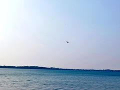 -丁香湖公园