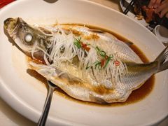 传统清蒸大白鱼-淮扬府(安定门店)