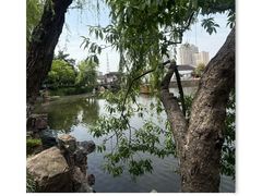 -水绘园