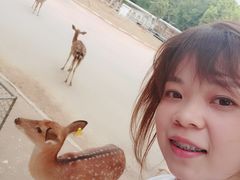 -清迈夜间动物园