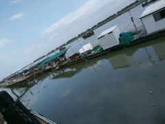 -大湾区中央湿地公园-十九涌