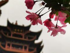 -黄鹤楼