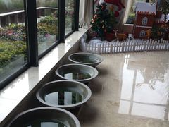 -天目湖涵田半山温泉