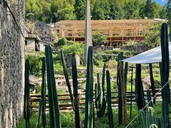 -MOJ coffee(瓯海泽雅水碓坑店)