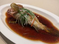 -皇朝会.经典传统粤菜(外滩店)