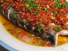 -宏宴·新京菜(望京店)