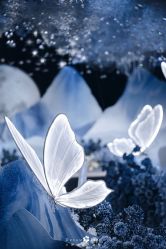 点击看大图 -三色锦婚礼定制