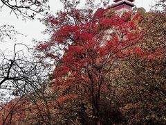 -终南山南五台景区